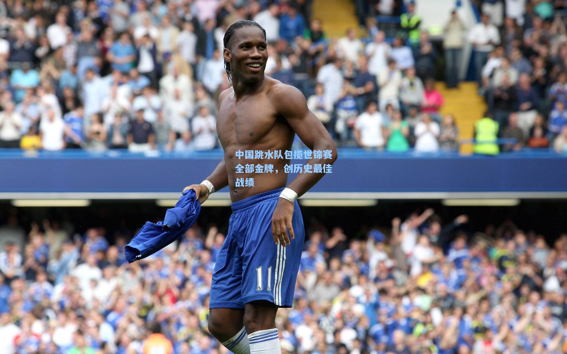 中国跳水队包揽世锦赛全部金牌，创历史最佳战绩