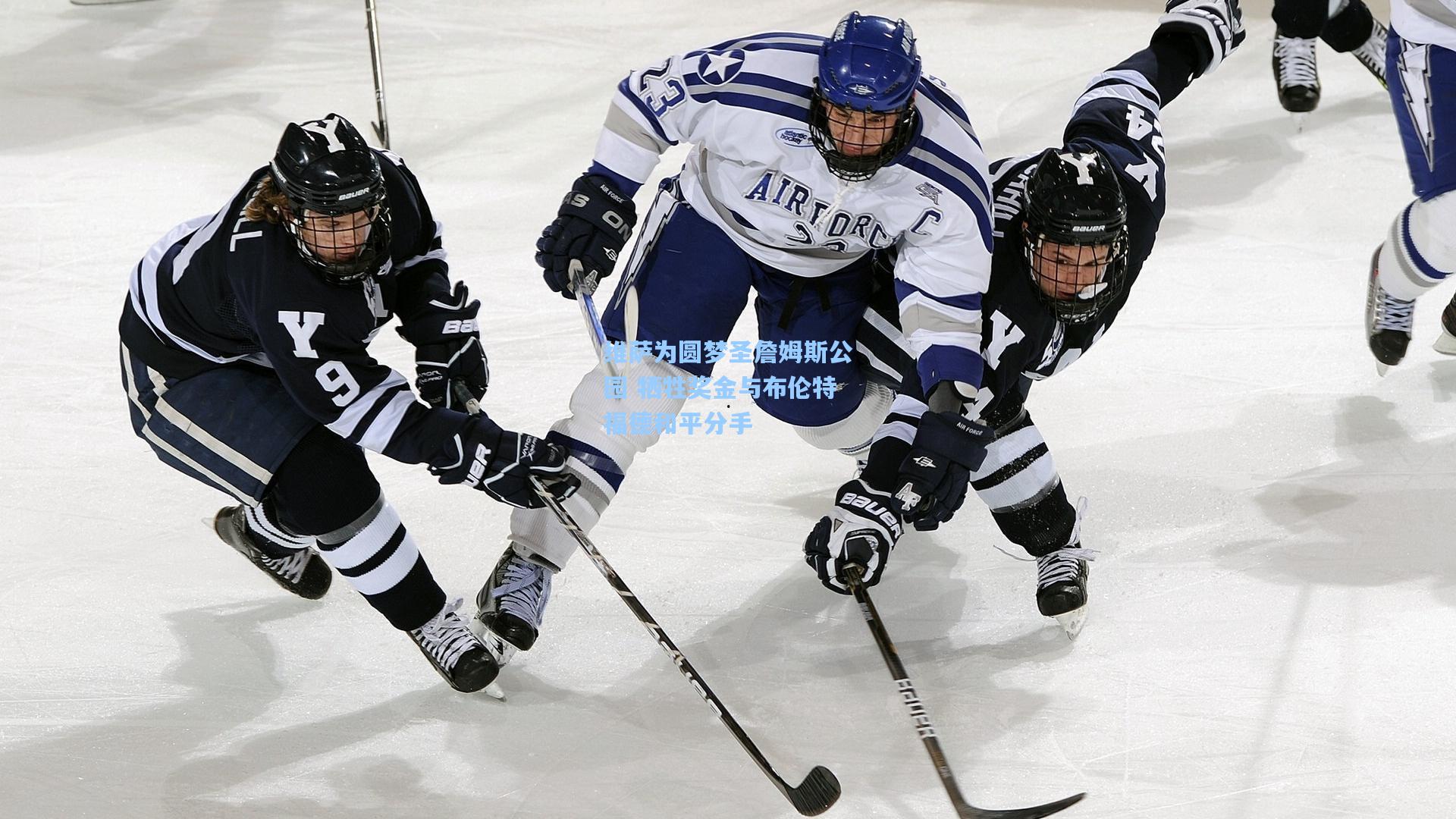 爱游戏娱乐_维萨为圆梦圣詹姆斯公园 牺牲奖金与布伦特福德和平分手